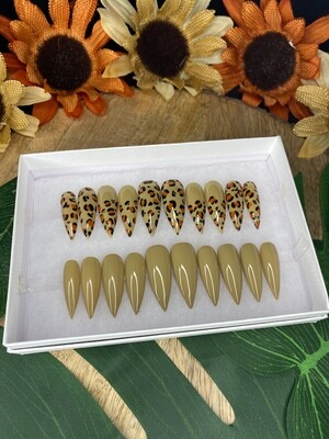 &quot;Cheetah Girl&quot; Collection