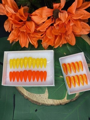 &quot;Armani Sunrise&quot; Collection