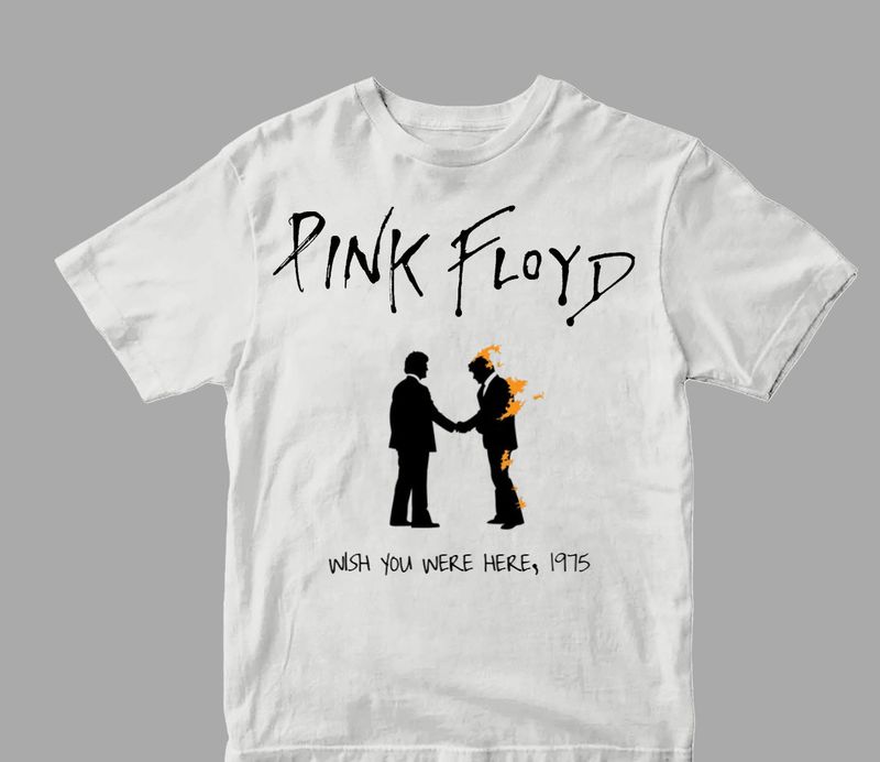 PINK FLOYD WISH YOU WERE HERE