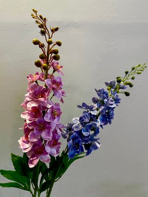 Delphinium especial