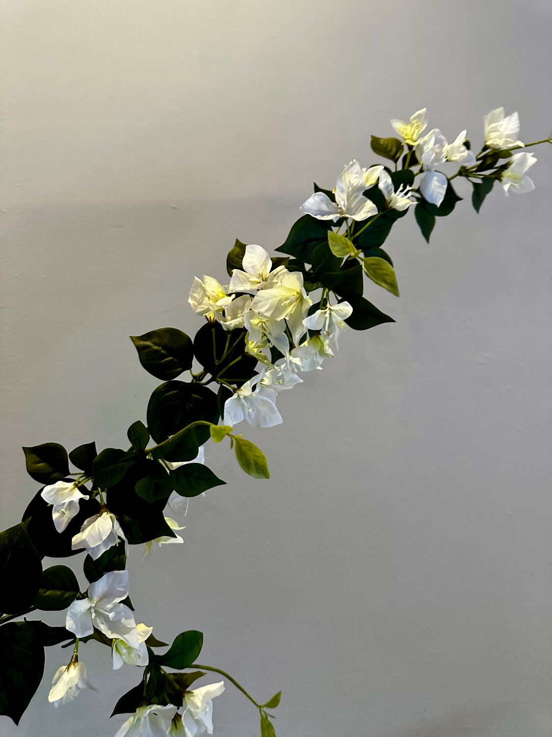 Guirnalda bugambilia