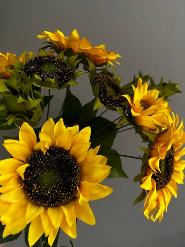 Set girasol
