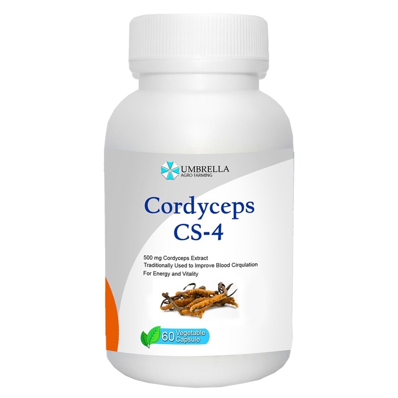 CORDYCEPS CS-4
