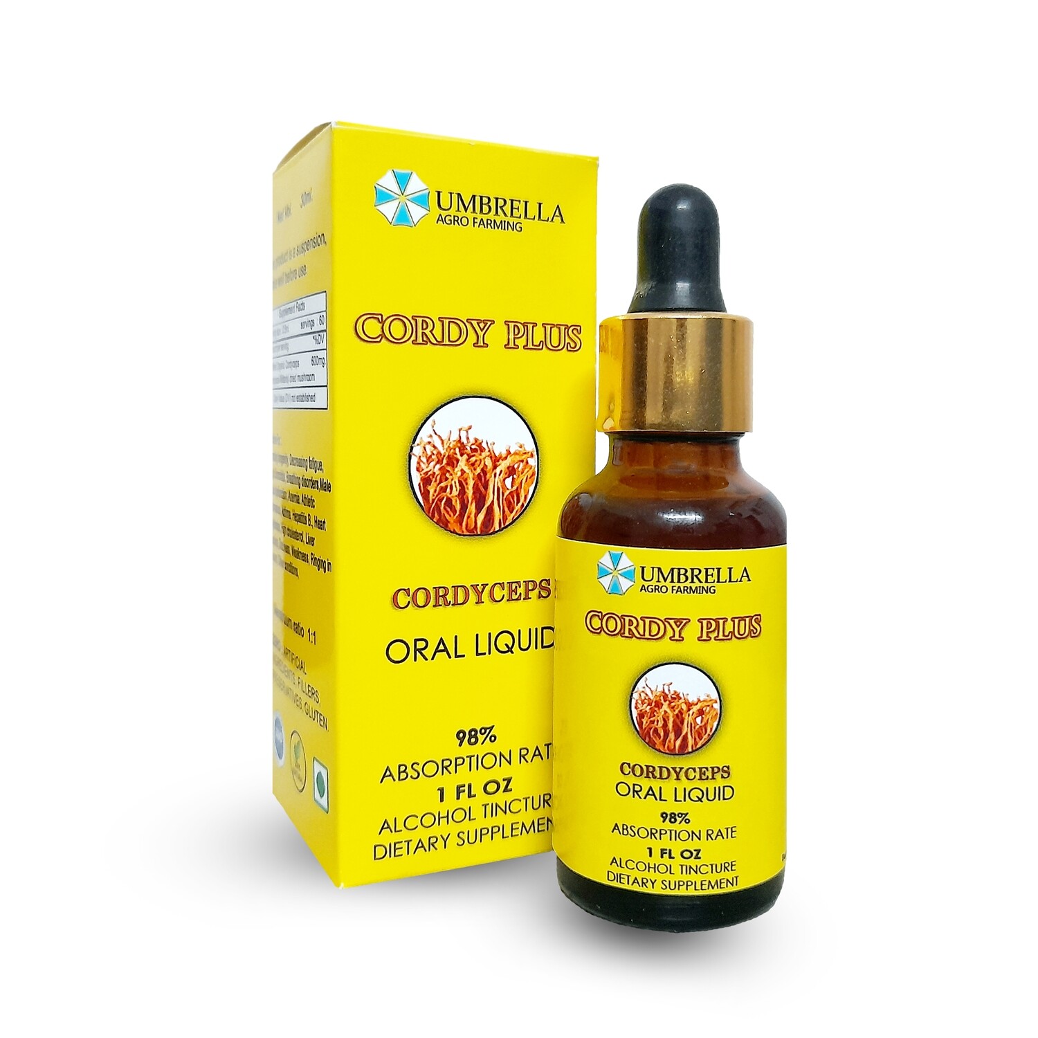 CORDY PLUS