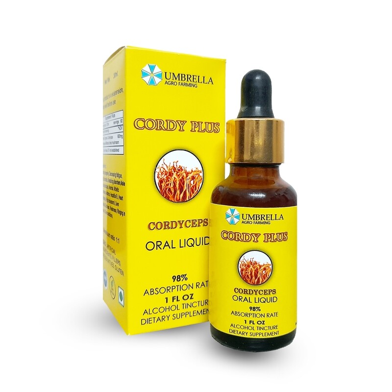 CORDY PLUS