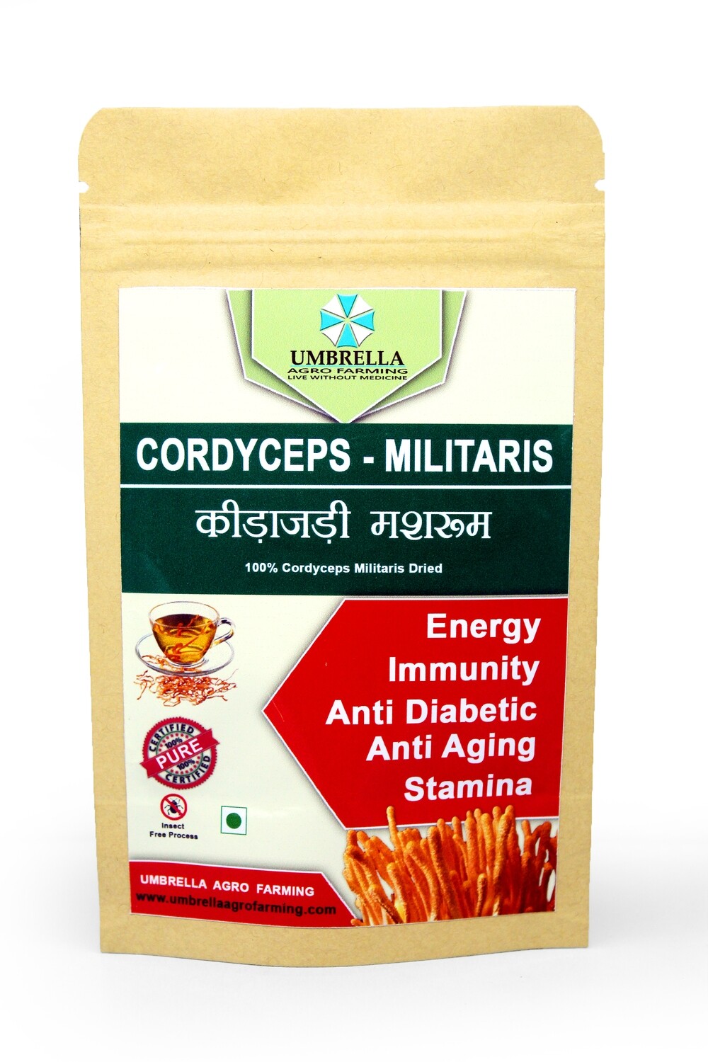 CORDYCEPS MILITARIS raw herb