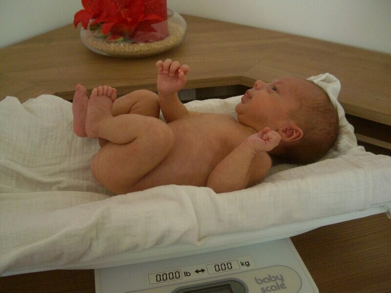 Nutrition and Weight Development of Premature Infants