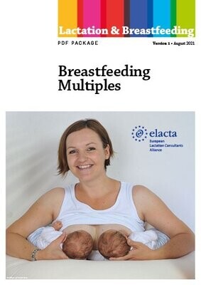 Breastfeeding Multiples - PDF Package / 5 PDFs