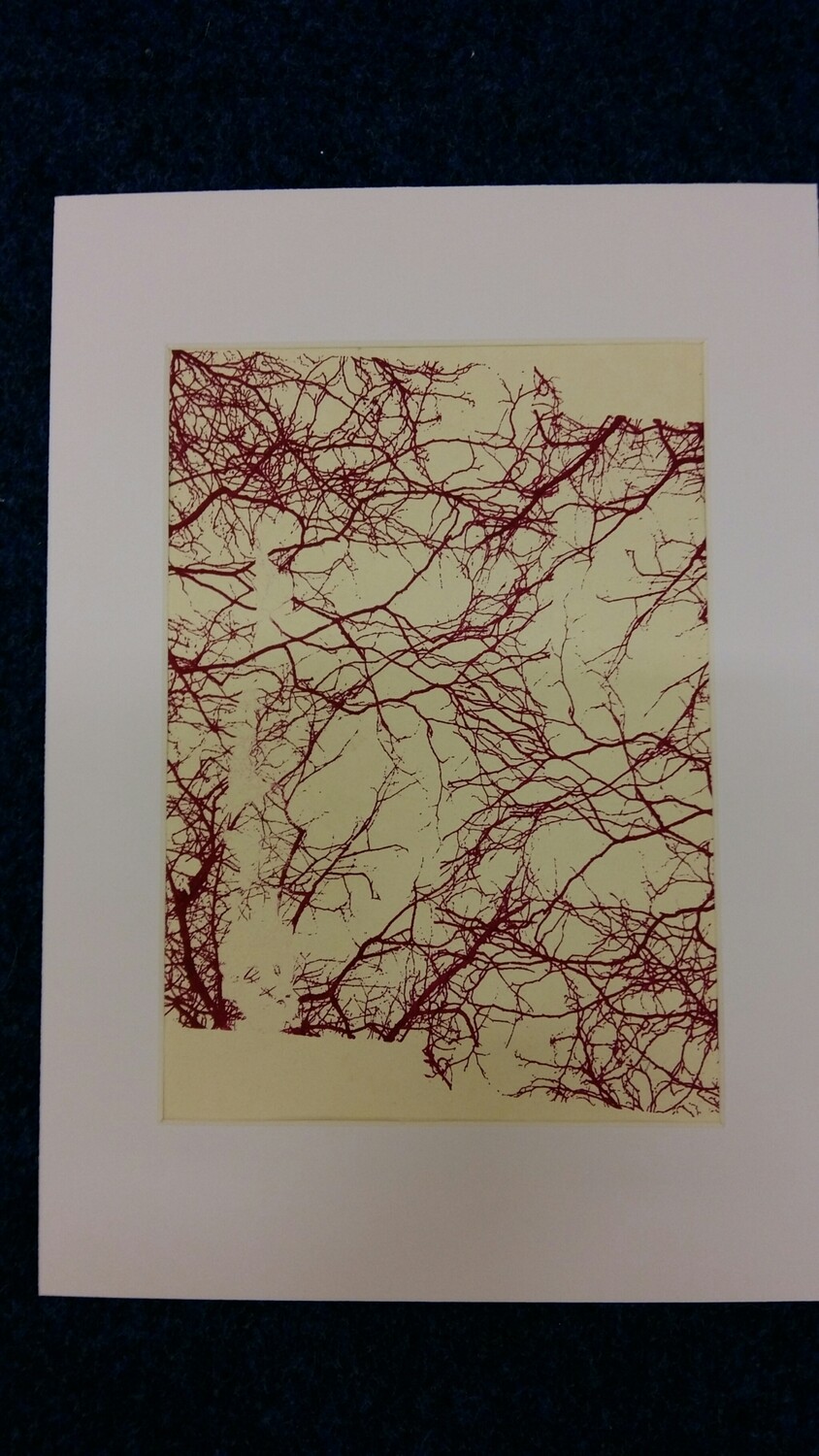 Mycorrhizal