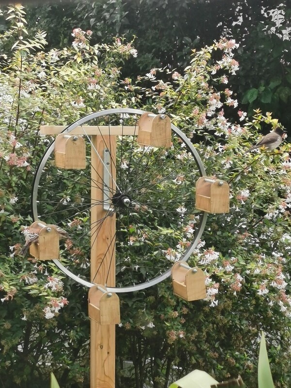 Ferris-wheel feeder