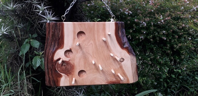 Dual fruit and suet feeder