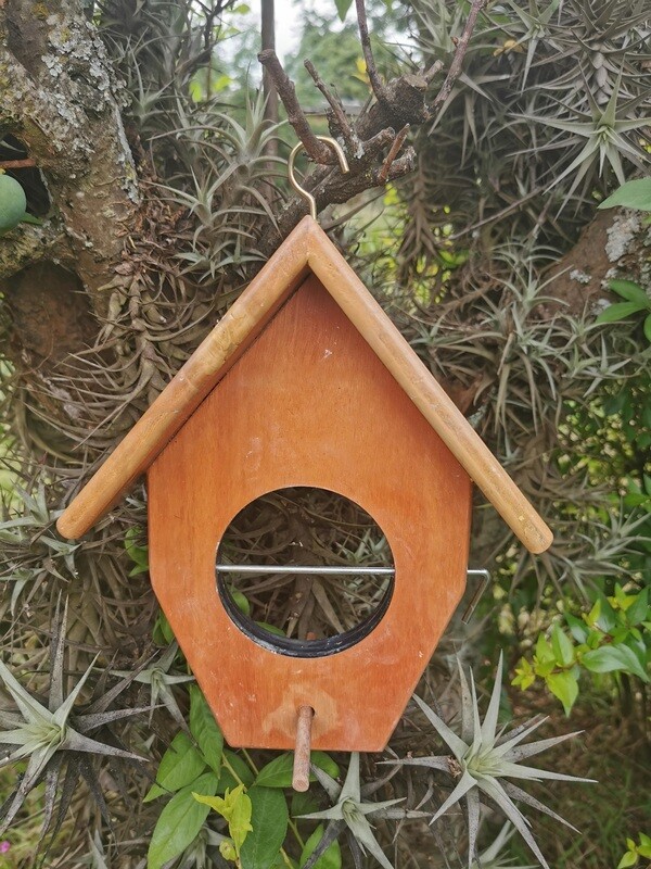Barbet Fruit Feeder