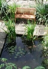 Planting Bags for Small Pond Collection