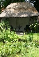 Pond Starter Collections