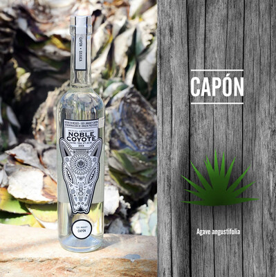 Mezcal Noble Coyote &quot;Agave Espadín Capón&quot;
