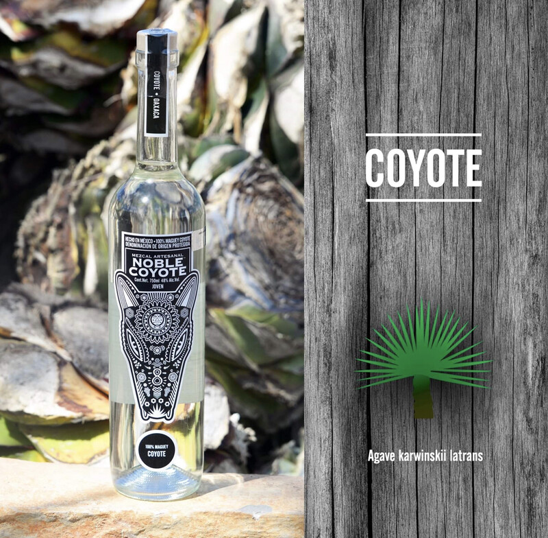 Mezcal Noble Coyote “Agave Coyote”