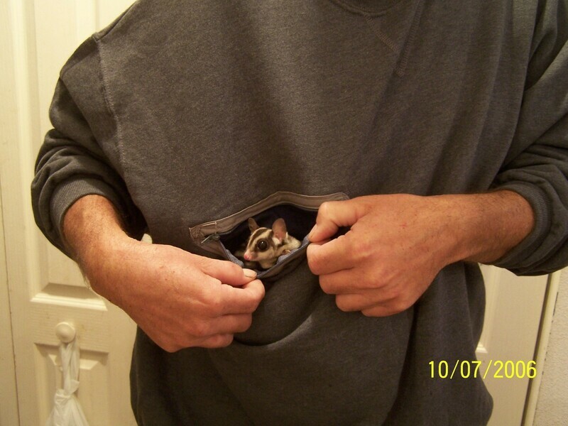 2xl Sweat shirt [no hood]