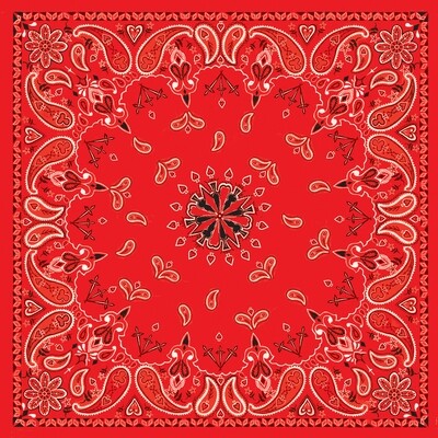 B003- Bandanna Red Paisley