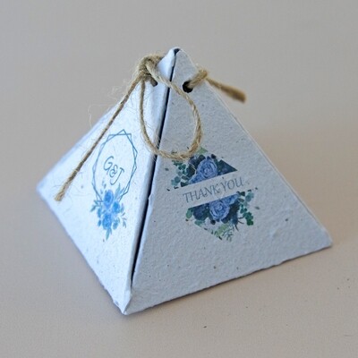 Growing Paper Pyramid