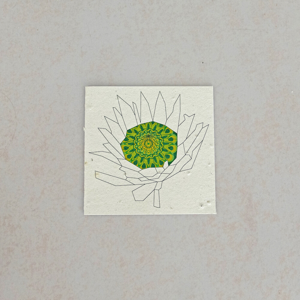 Square Card - Protea