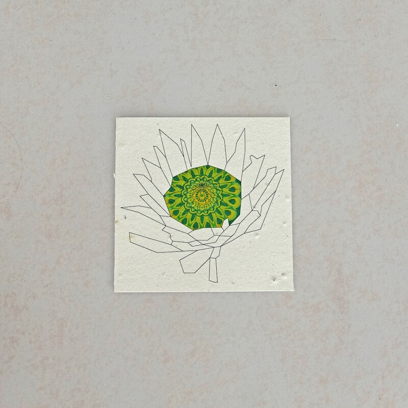 Square Card - Protea