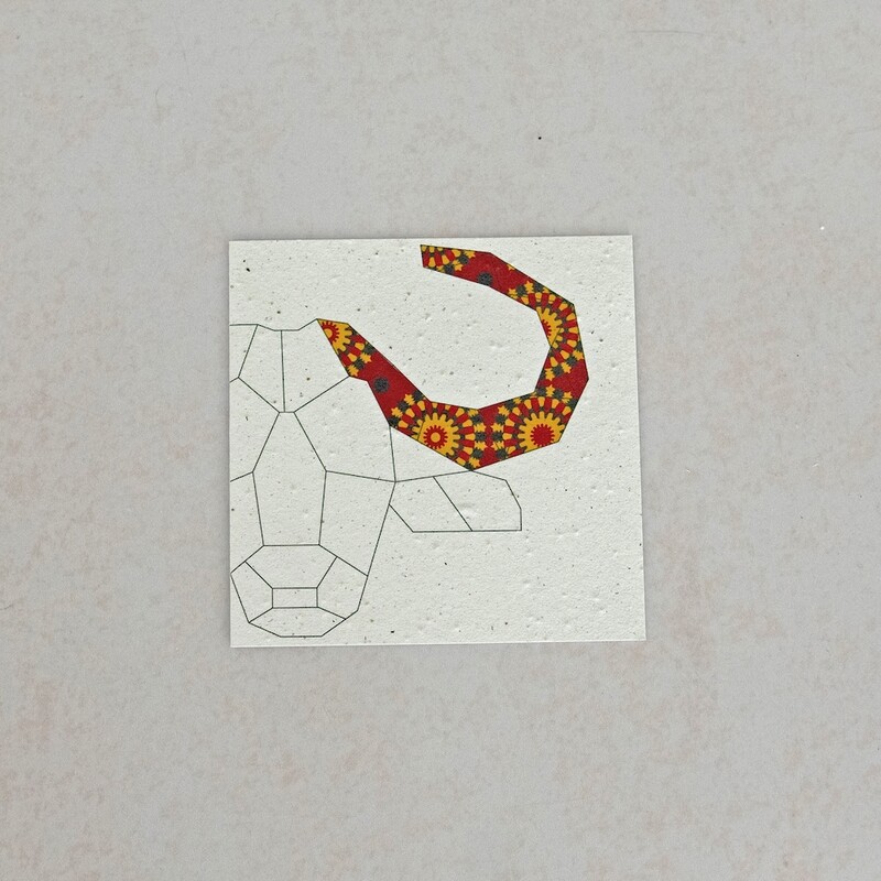 Square Card - Bufallo