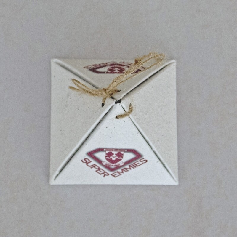 Growing Paper Pyramid with Twine Attached - PRINTED OUTSIDE