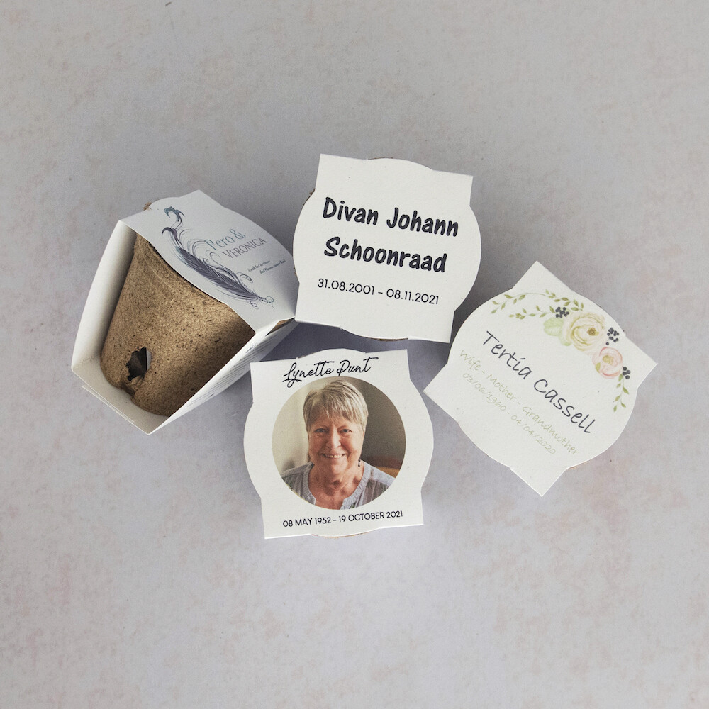 Seed Kits (Origami envelope of seeds)