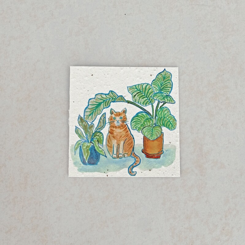 Square Card - Cat &amp; Plants