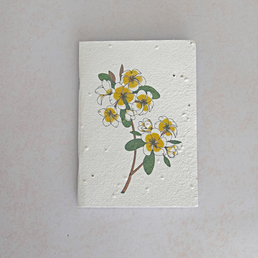 Notebook - Frangipani