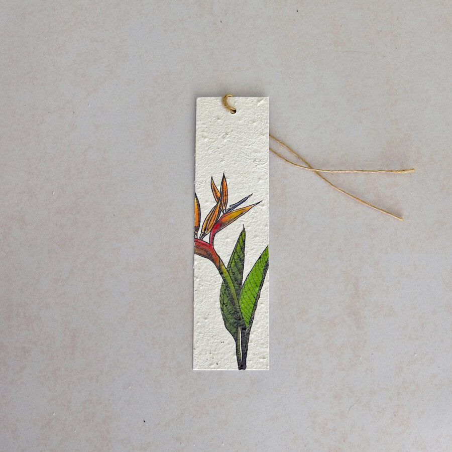 Bookmark - The Strelitzia