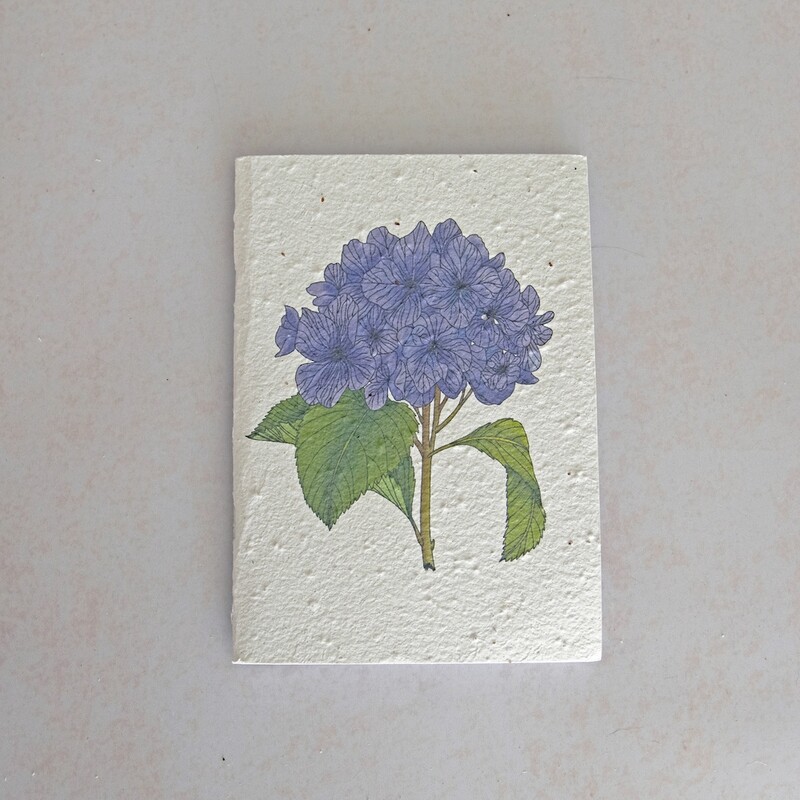 Notepad - Krismisroos