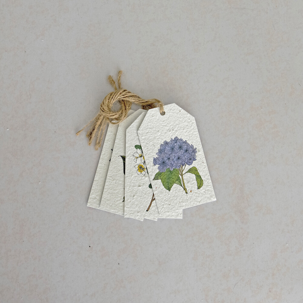 Gift Tag Set - Celebrating Flowers (Purple)