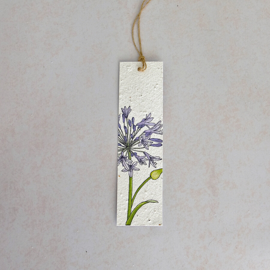 Bookmark - The Agapanthus