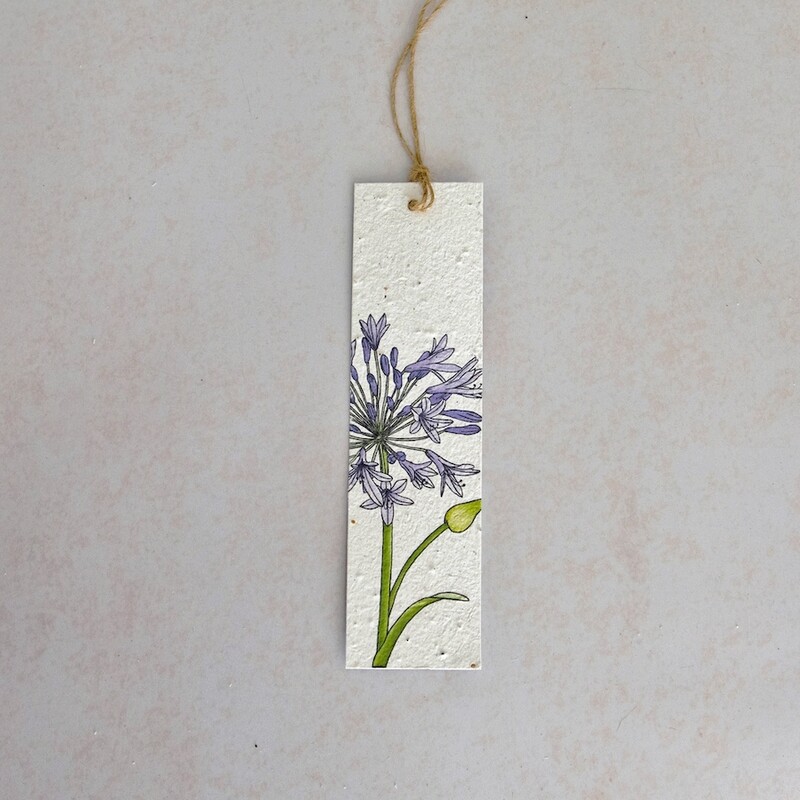Bookmark - The Agapanthus