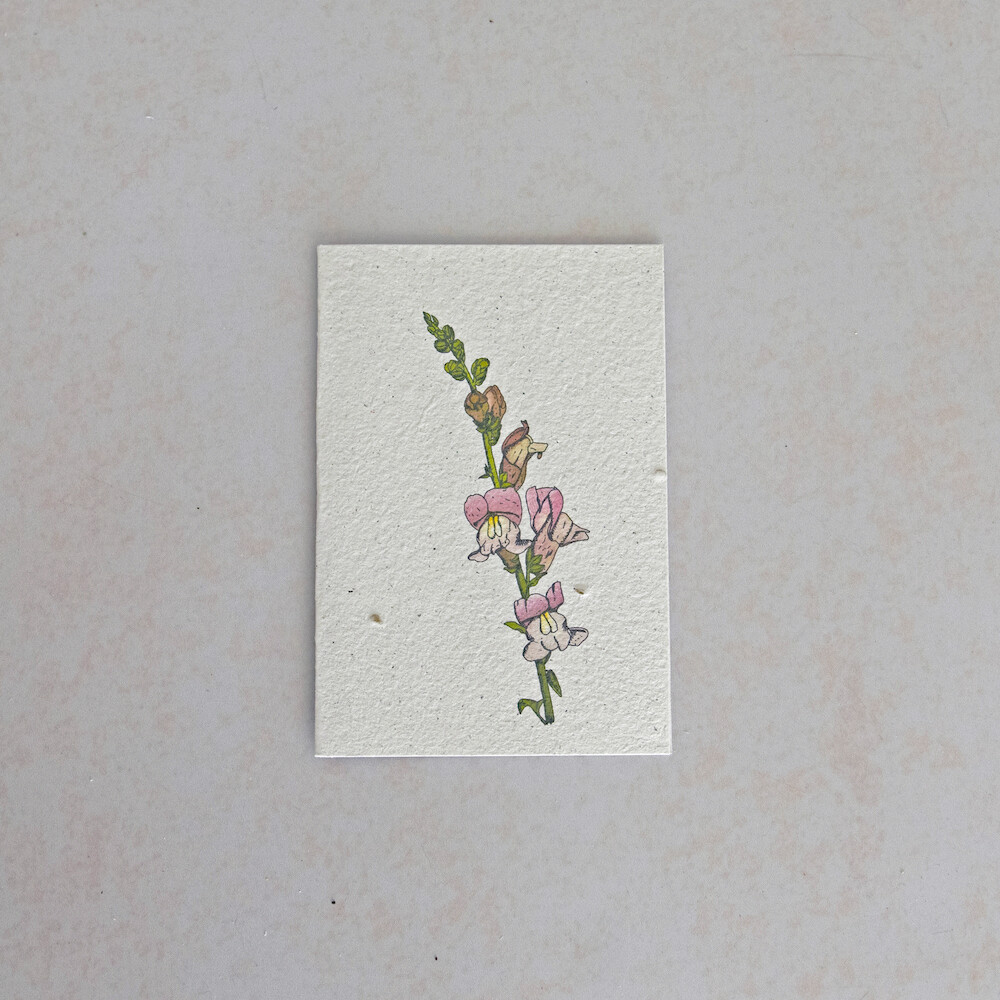 Rectangular Card - The Leeubekkie