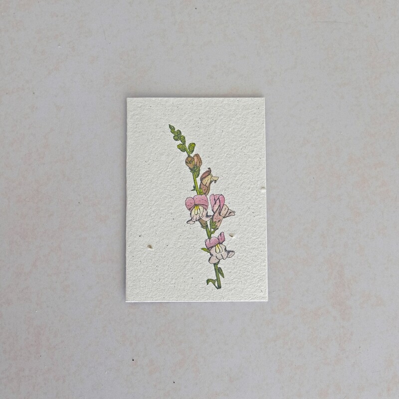 Rectangular Card - The Leeubekkie