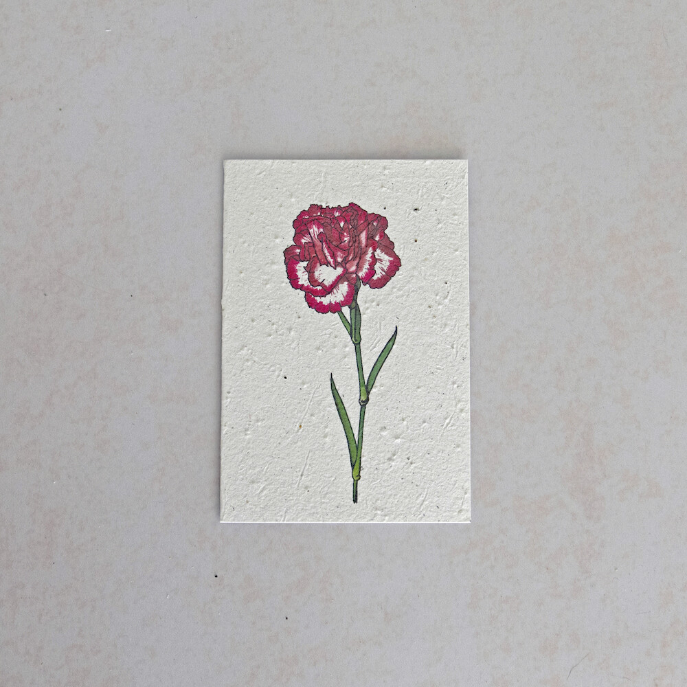Rectangular Card - The Carnation
