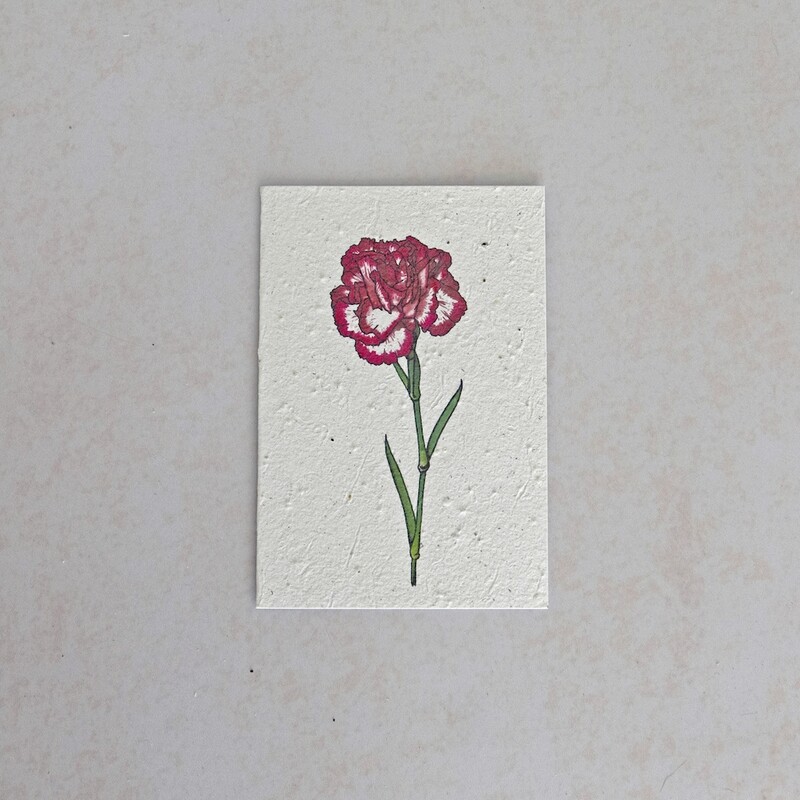 Rectangular Card - The Carnation