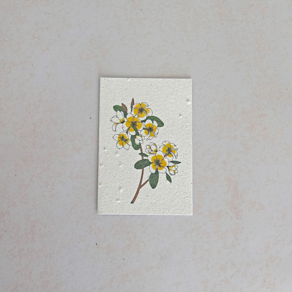 Rectangular Card - The Frangipani