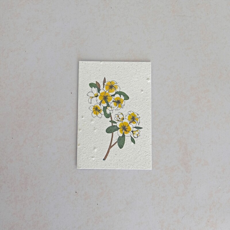 Rectangular Card - The Frangipani