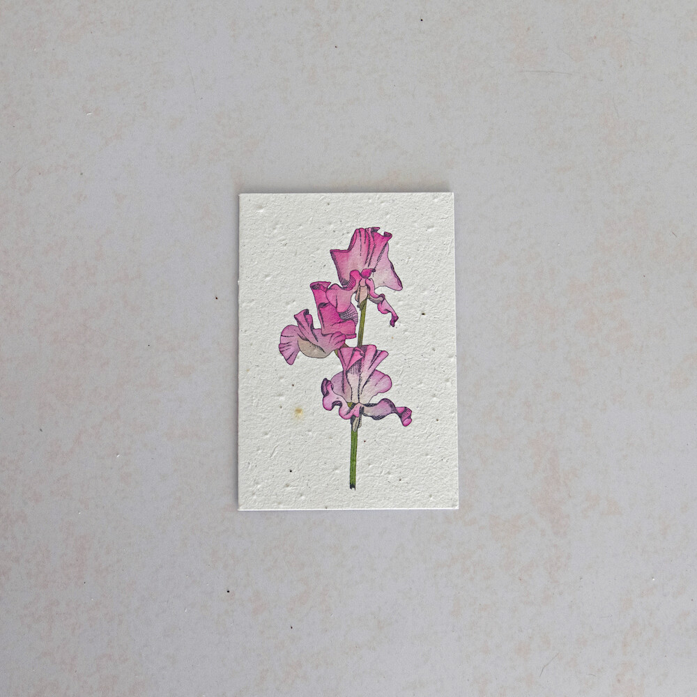 Rectangular Card - The Sweet Pea