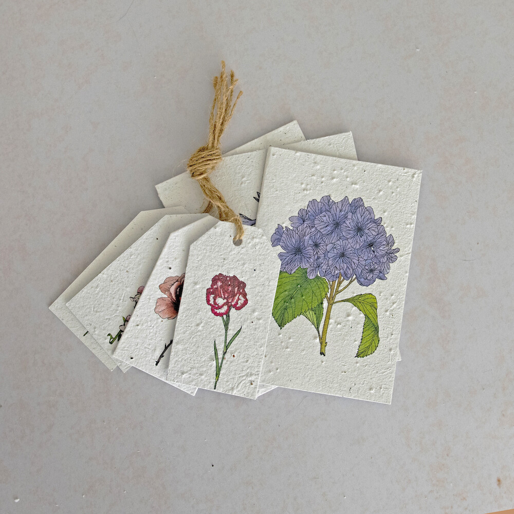 Gift Box Set - Small