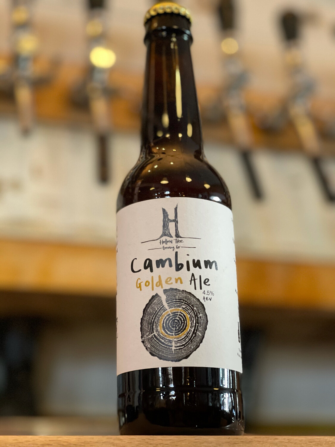 HOLLOW TREE BREWERY - CAMBIUM