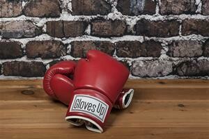1. HEAVYWEIGHT BOXING GLOVES