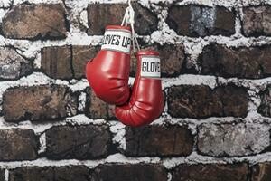 3. LIGHTWEIGHT BOXING GLOVES