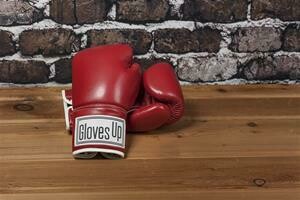 2. MIDDLEWEIGHT BOXING GLOVES