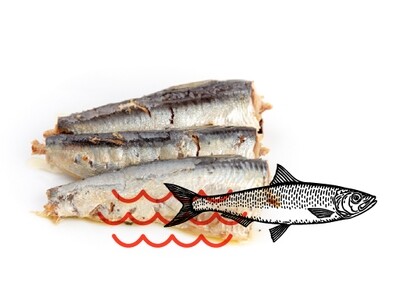 Small sardines