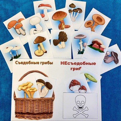 Мини-карточки для сортировки "Съедобные и несъедобные грибы"