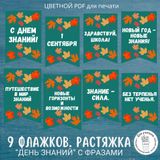 Растяжка флажки ко Дню Знаний. Цветная печать, нередактируемый.